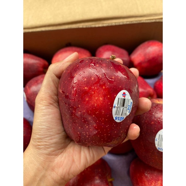 

Apel merah washington import 1kg apel red fresh