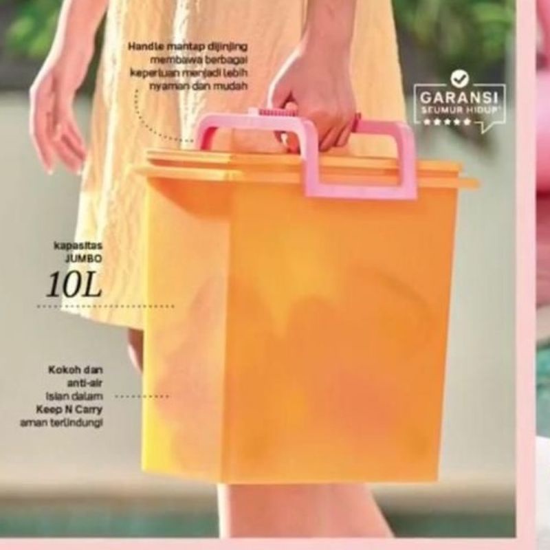 wadah serbaguna keep n carry 10 kg tuperware