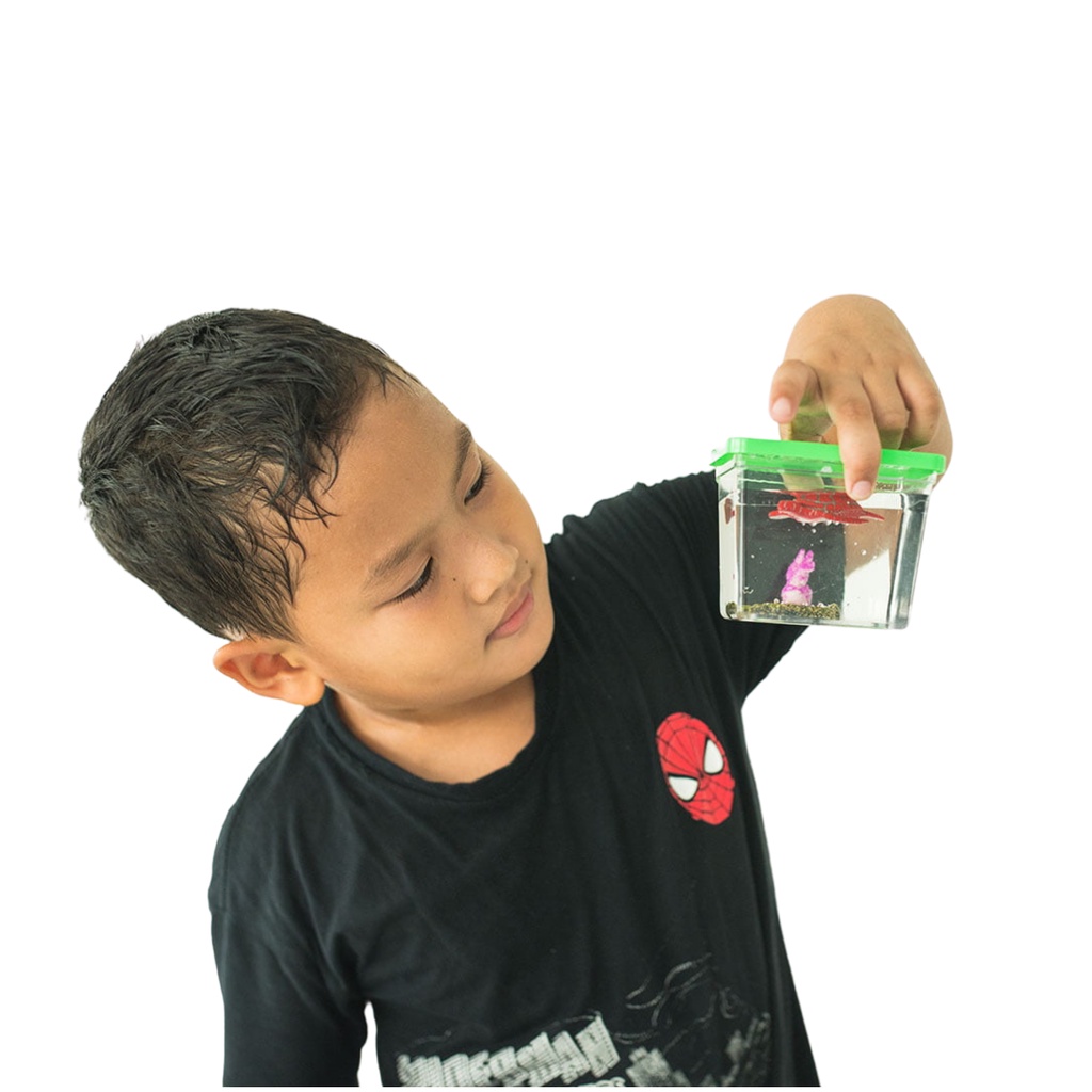 STEM Mini Aquarium Kit Anak + Buku Komik Edukatif – Mainan Edukasi Sains Belajar Penyerapan Air DIY 