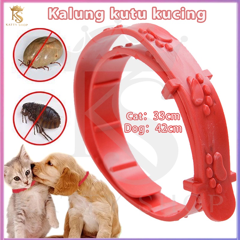 Kalung bulu kucing/kalung peliharaan peliharaan yang tidak tahan serangga/aksesori peliharaan peliharaan kalung kucing/kucing dan kalung bulu anjing