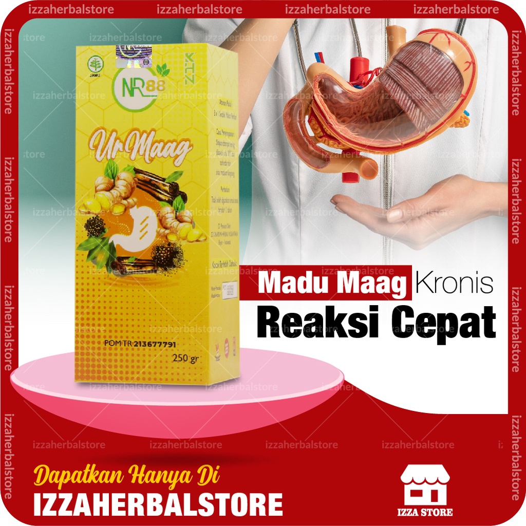 MADU ZESTMAG Madu MAAG KRONIS Obat Asam Lambung Obat Lambung Terbaik ORIGINAL