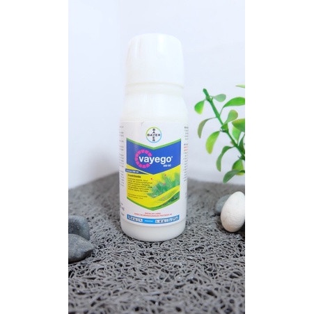 insektisida vayego 200sc 100ml