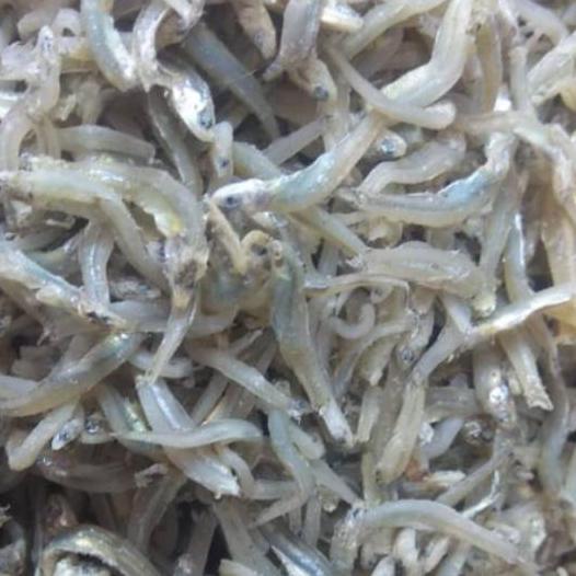

☂ Teri buntiau tauge Medan ,berat 500 gram ♚