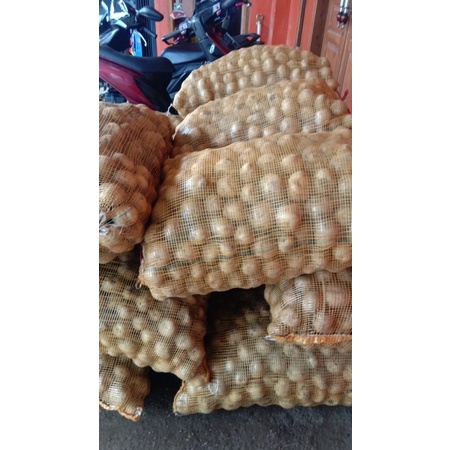 

KENTANG ATLANTIK PANGALENGAN