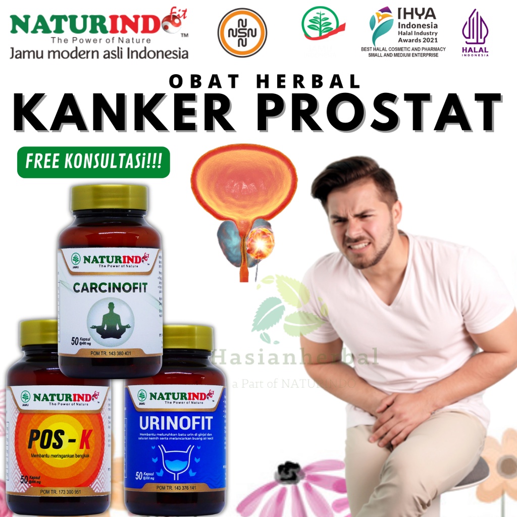 Obat Herbal atasi kanker kangker cancer tumor prostat benjolan ganas jinak diantara mr p penis kandu