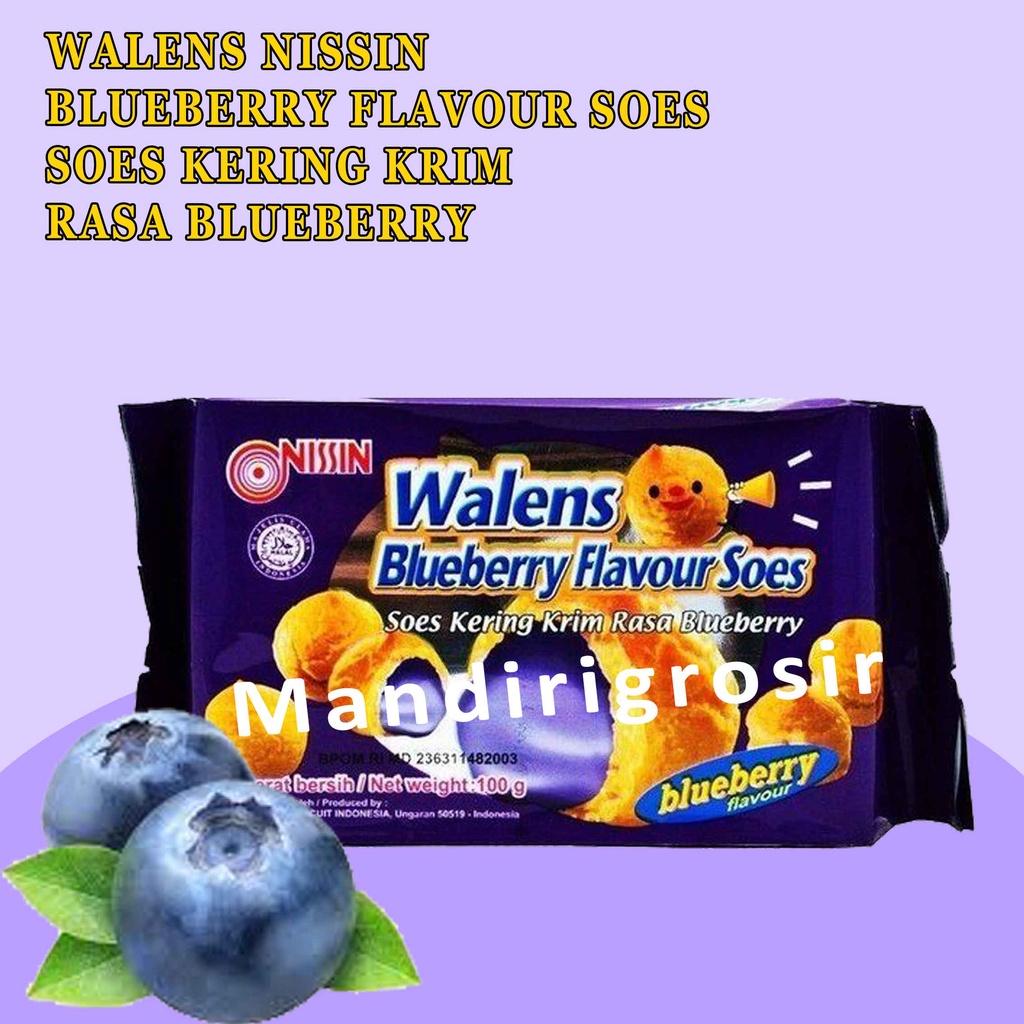 NISSIN WALENS BLUEBERRY FLAVOUR SOES 100g