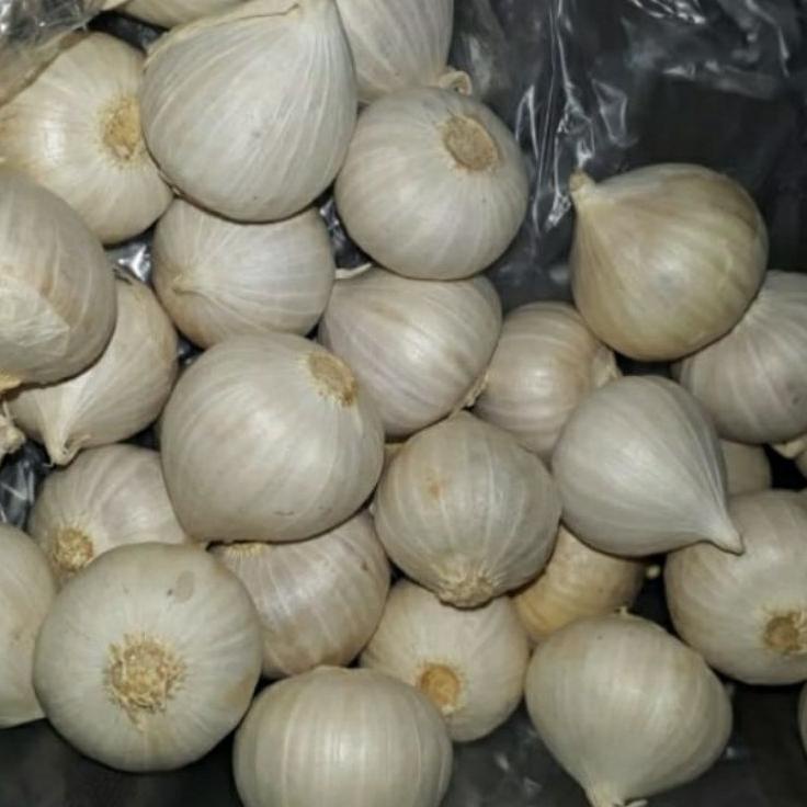 

Lariiss Bawang Putih Tunggal/Bawang Putih Lanang Import Kwalitas Super 250 gr