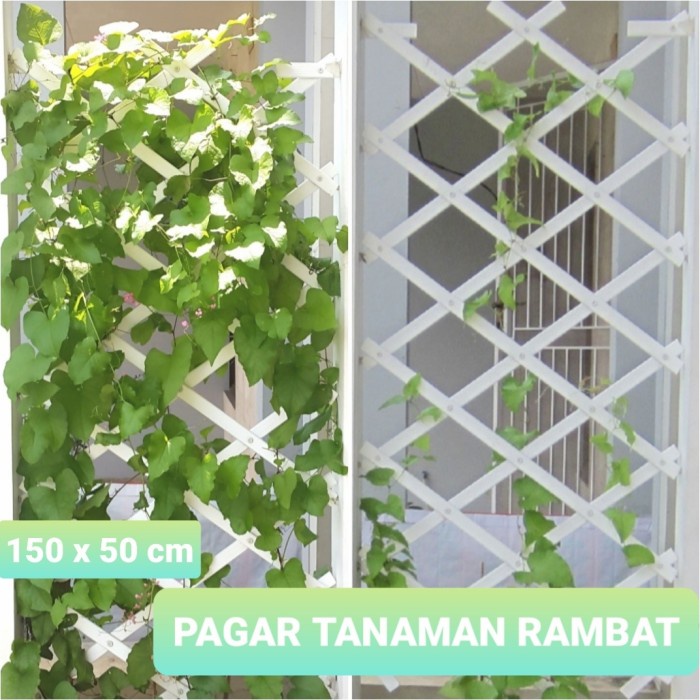 Terlaris Pagar Tanaman Rambat 150 Cm X 50 Cm Plastik Putih
