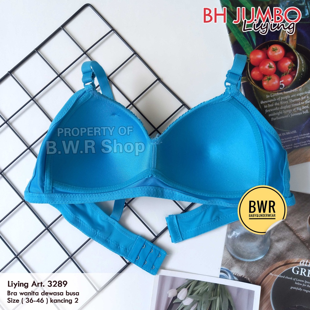 BH Liying 3289 BUSA Jumbo / Bra Wanita Dewasa Tanpa Kawat Busa Sedang Big Size Kancing 2 | Bwr