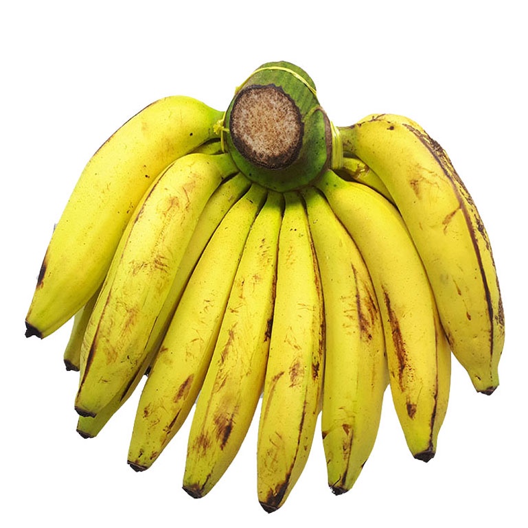 

Pisang Ambon (1 sisir)
