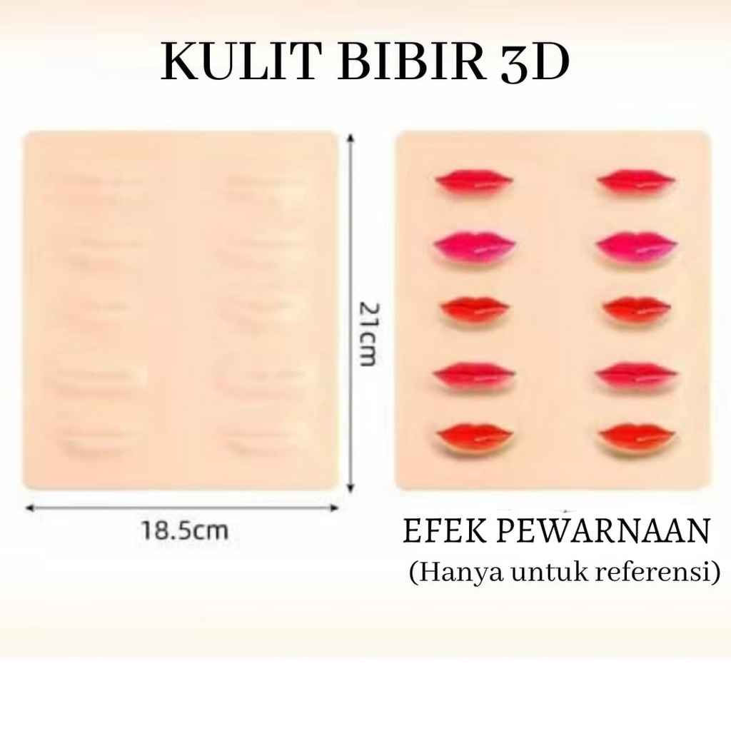 Kulit Latihan Untuk Sulam Bibir 3D Sintesis