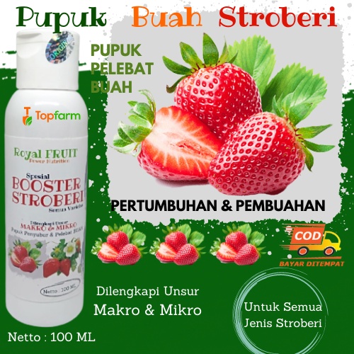 Pupuk Untuk Strawberry / Pupuk Pelebat Buah Strawberry / Pupuk Buat Tanaman Stroberi / Pupuk Organik