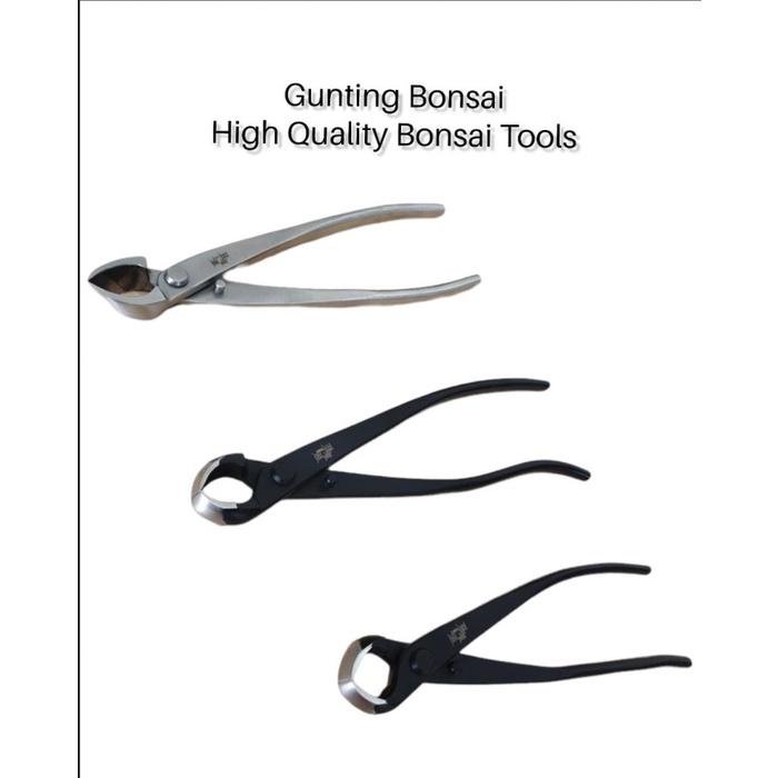Terlaris Catok Bonsai Import Anti Karat/Catok Miring/Catok Bonsai Cembung 210Mm