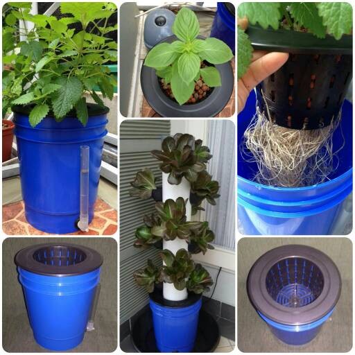 Blue Bucket utk System Wick, Kratky, Tower Plant Hidroponik