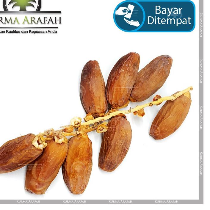 

۞ Kurma Tunisia Tangkai 1 Kg Deglet Nour ✽