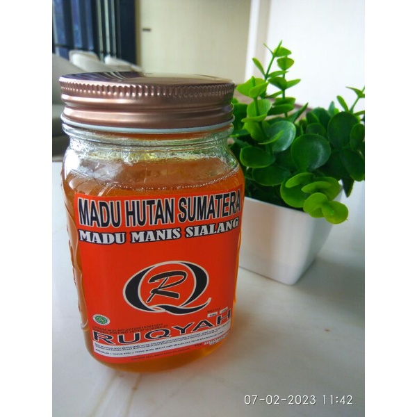 

Madu Sialang - 600 gram