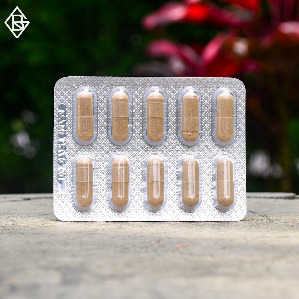 Ayurveda Ayulite 60 Capsules | Ayulite Klink Berisi 60 Kapsul | Original Klink