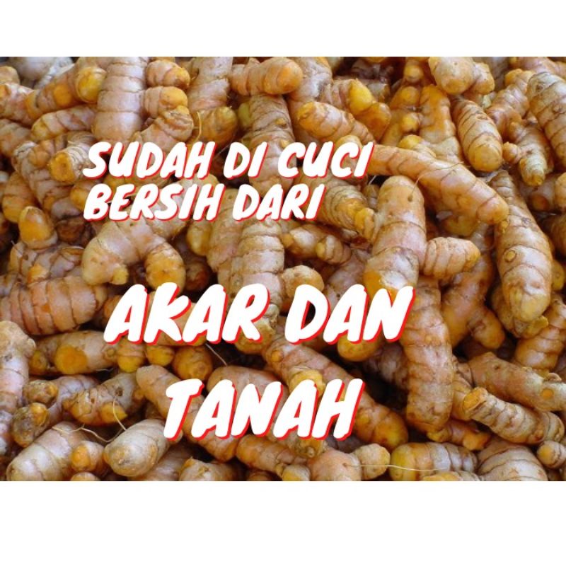 

kunyit masak segar 1 kg