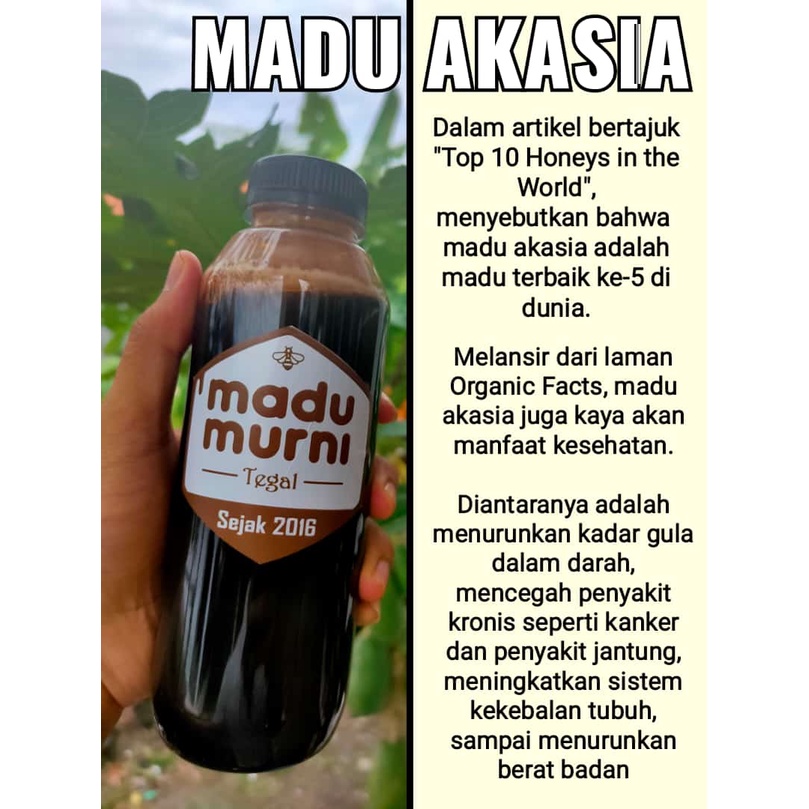 

Madu Murni Akasia | Madu Murni Tegal