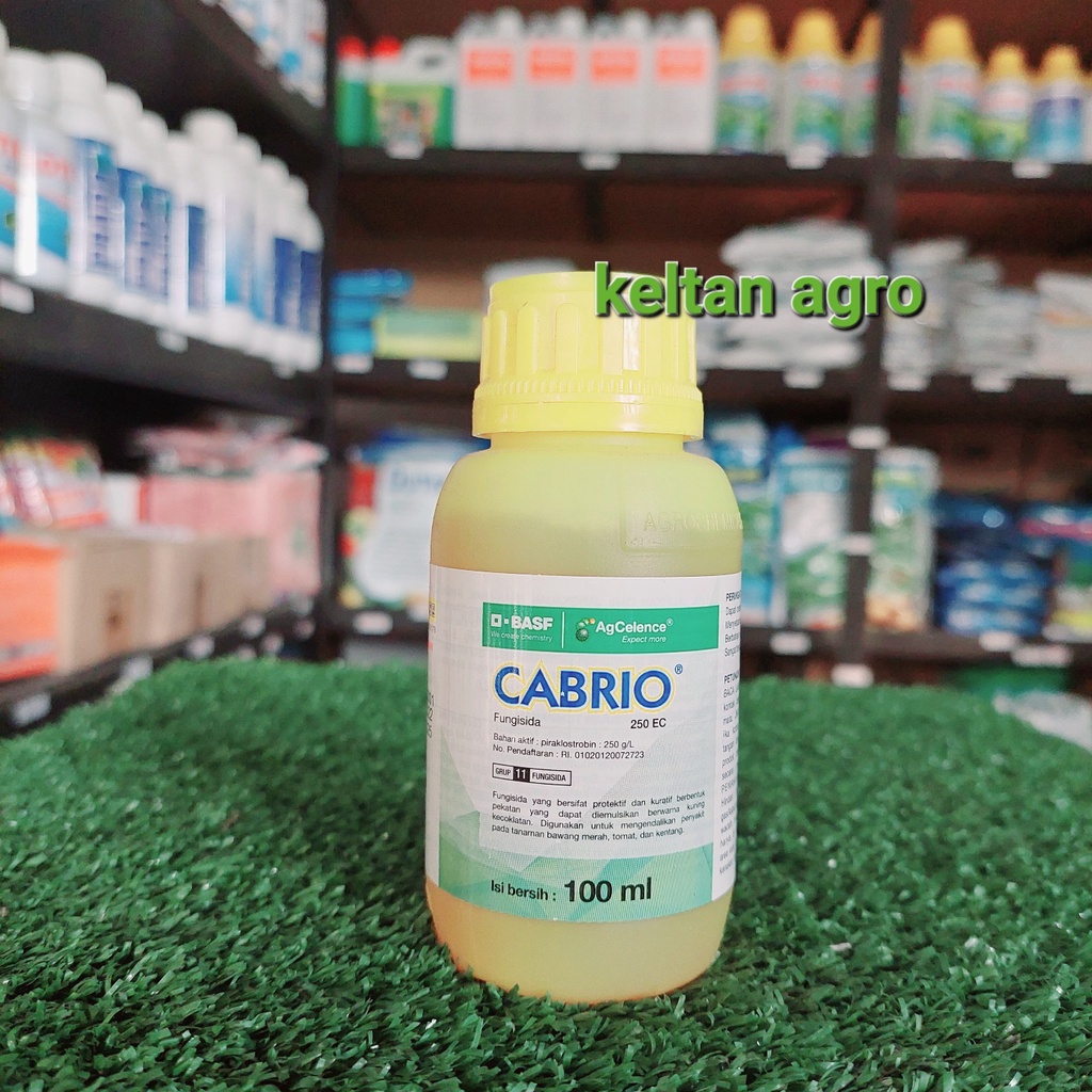 CABRIO 250 EC ( 100 ml )