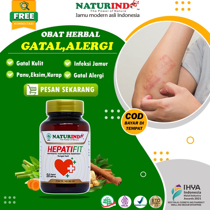 OBAT GATAL KULIT SELANGKANGAN EKSIM GATAL KEMALUAN BISUL KURAP KUDIS PANU KORENGAN AMPUH HERBAL NATU
