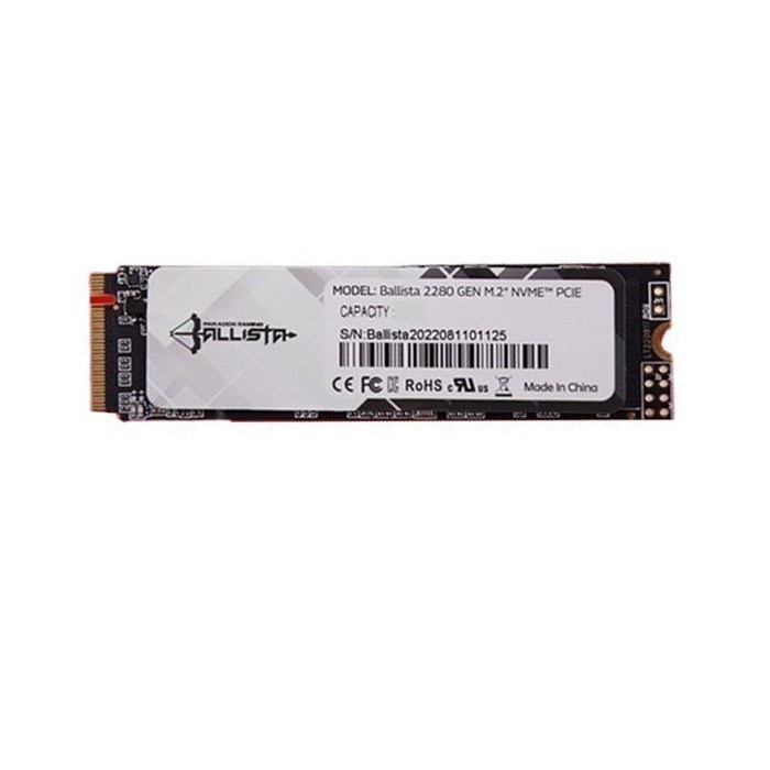 Paradox Gaming Ballista SSD 512GB M.2 NVMe PCIE Gen3x4