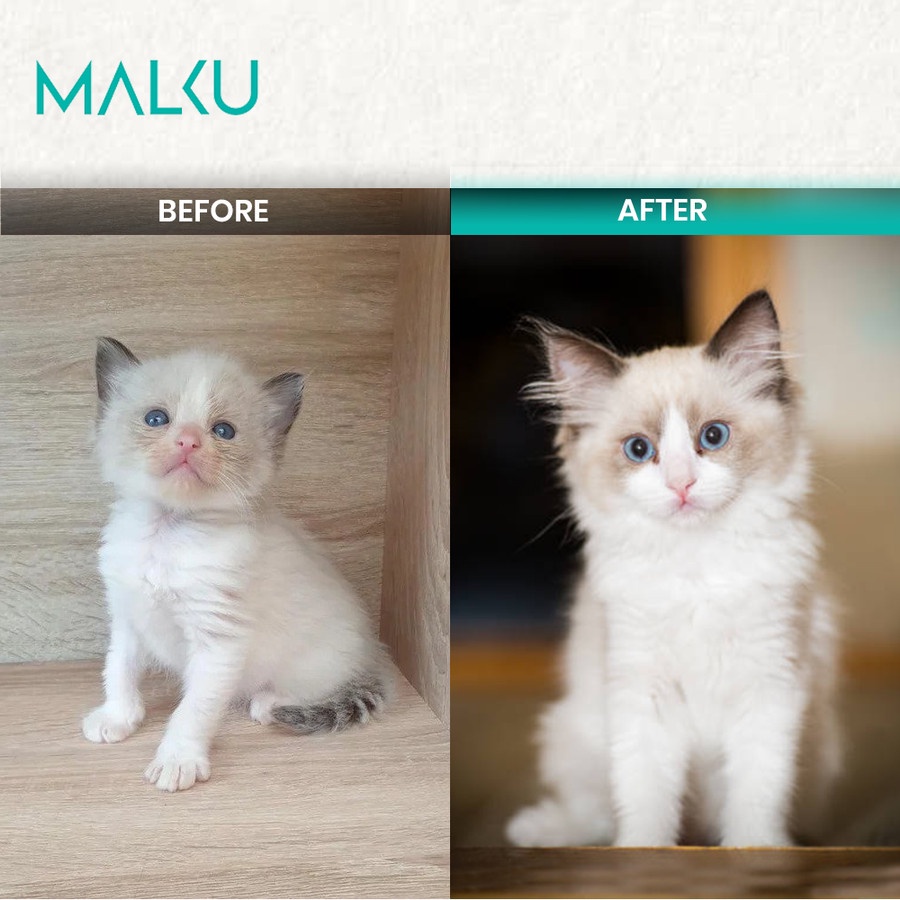 MALKU Maximize Kitten Growth Vitamin Pertumbuhan Kitten