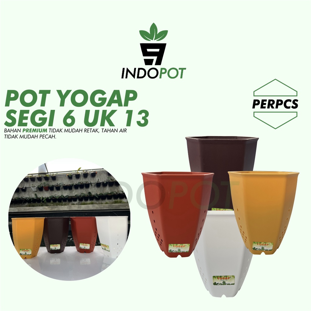 Pot Yogap Segi 6 Ukuran 13 Pot Unik Segi 6 Pot Sansivera Tanaman - YP6-13