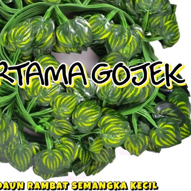 Ω Harga Lusinan Rambat Kecil/ Daun Rambat Plastik/ Bunga Plastik/ Rumput Plastik/ Bunga Artificial/ 