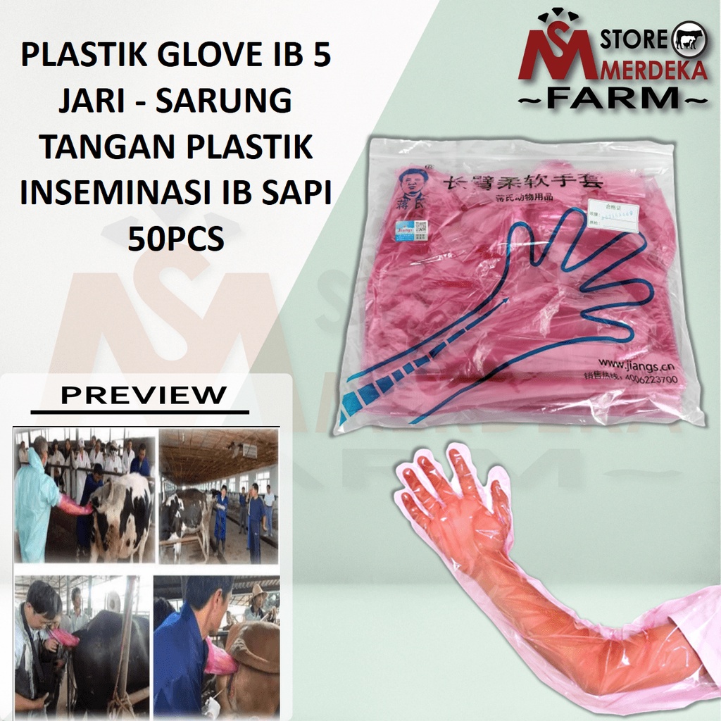 Sarung Tangan Plastik Inseminasi IB Sapi Plastik Glove IB 5 Jari - 50PCS