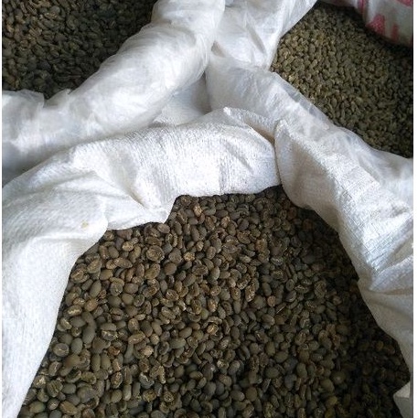 

Biji Kopi Arabika GilBas Coffee Arabica Wet Hulling Grade 1 Fresh Crop 2024