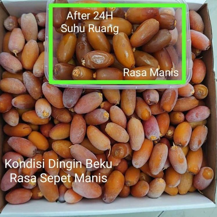 

✼ kurma muda ruthob libya 1kg premium ۝