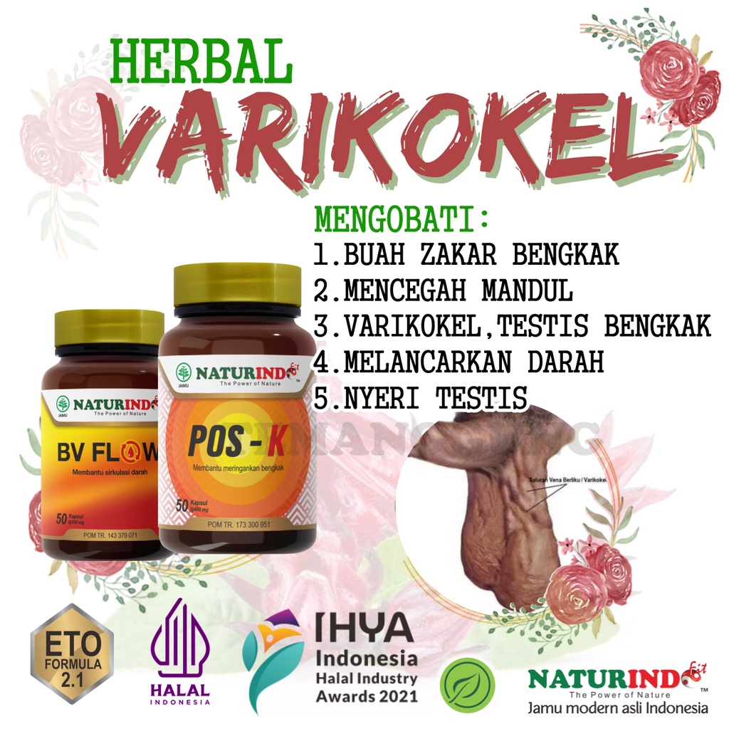 

Obat Mandul Varikokel Buah Zakar Bengkak Nyeri Testis Turun Berok Hernia Tanpa Operasi