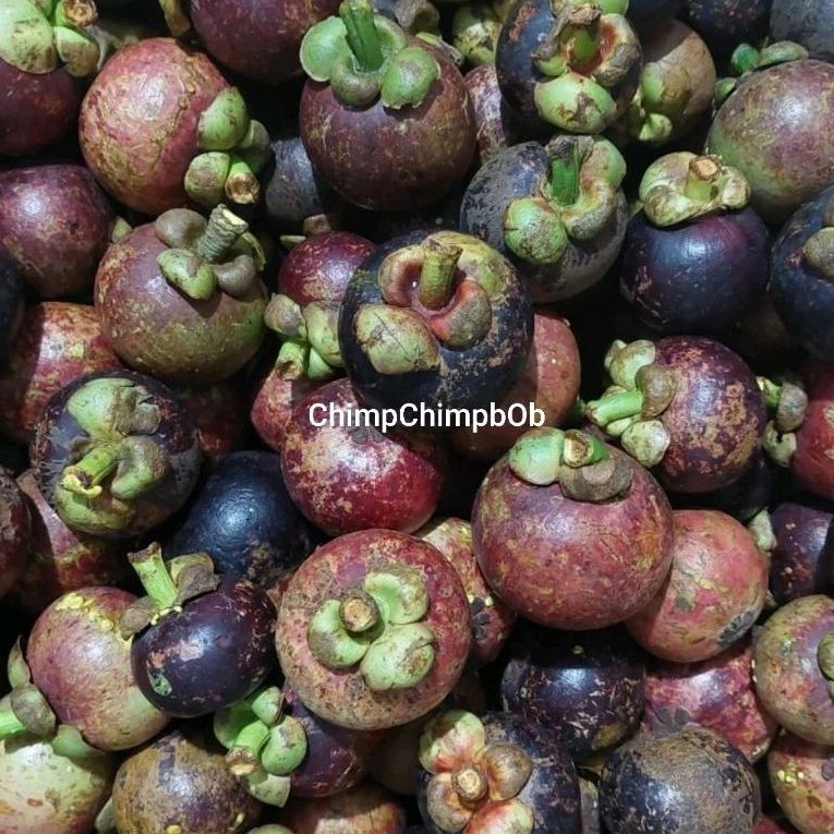 

BUAH MANGGIS SEGAR 1 KG / MANGOSTEEN FRESH