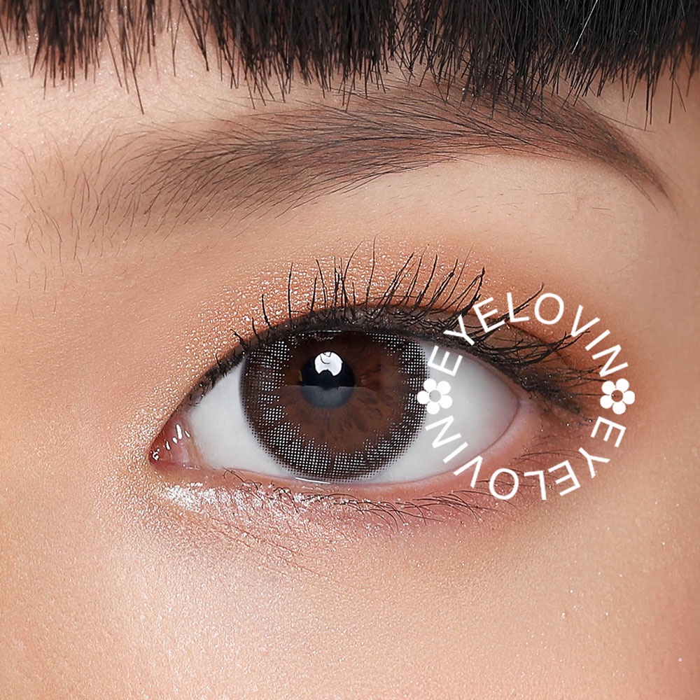 Eyelovin x Patricia Stephanie Softlens Neo Cosmo - Autumn Brown / Grey (NORMAL ONLY)