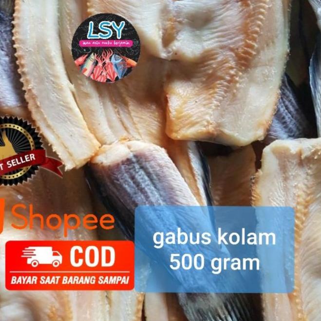 

❇ ikan asin gabus kolam size besar 500gr ◄