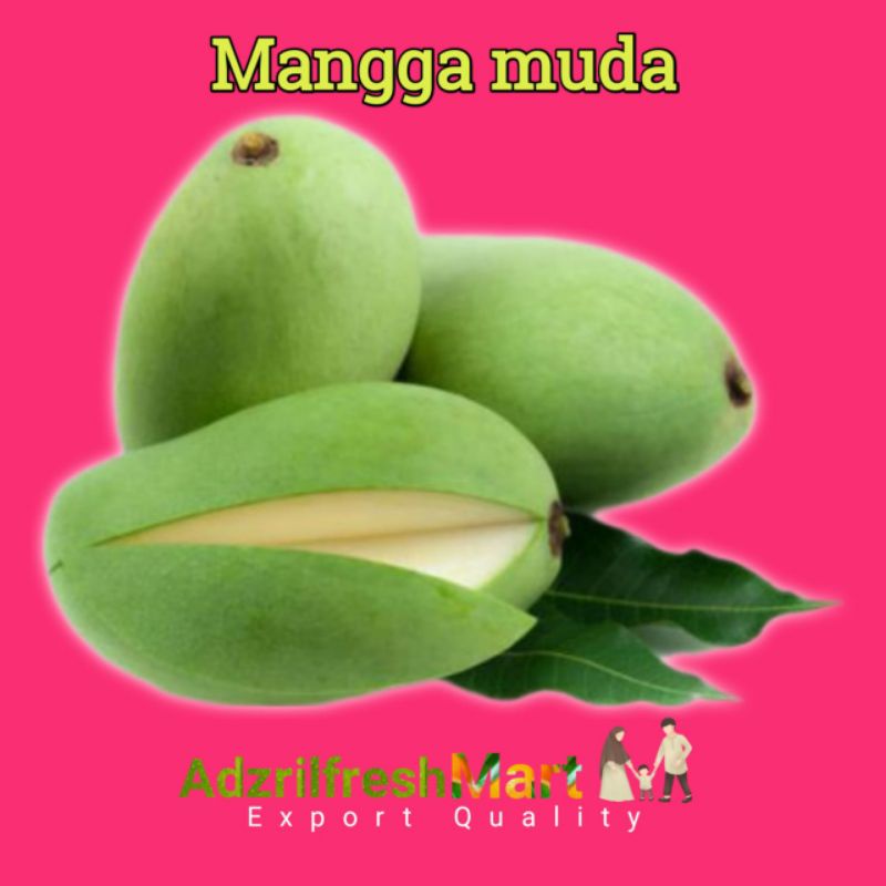 

BUAH MANGGA MUDA MANGGA RUJAKAN