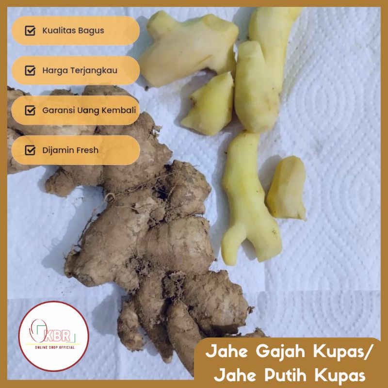 

Jahe Gajah Kupas Bersih/Jahe Kupas/Jahe Putih Kupas