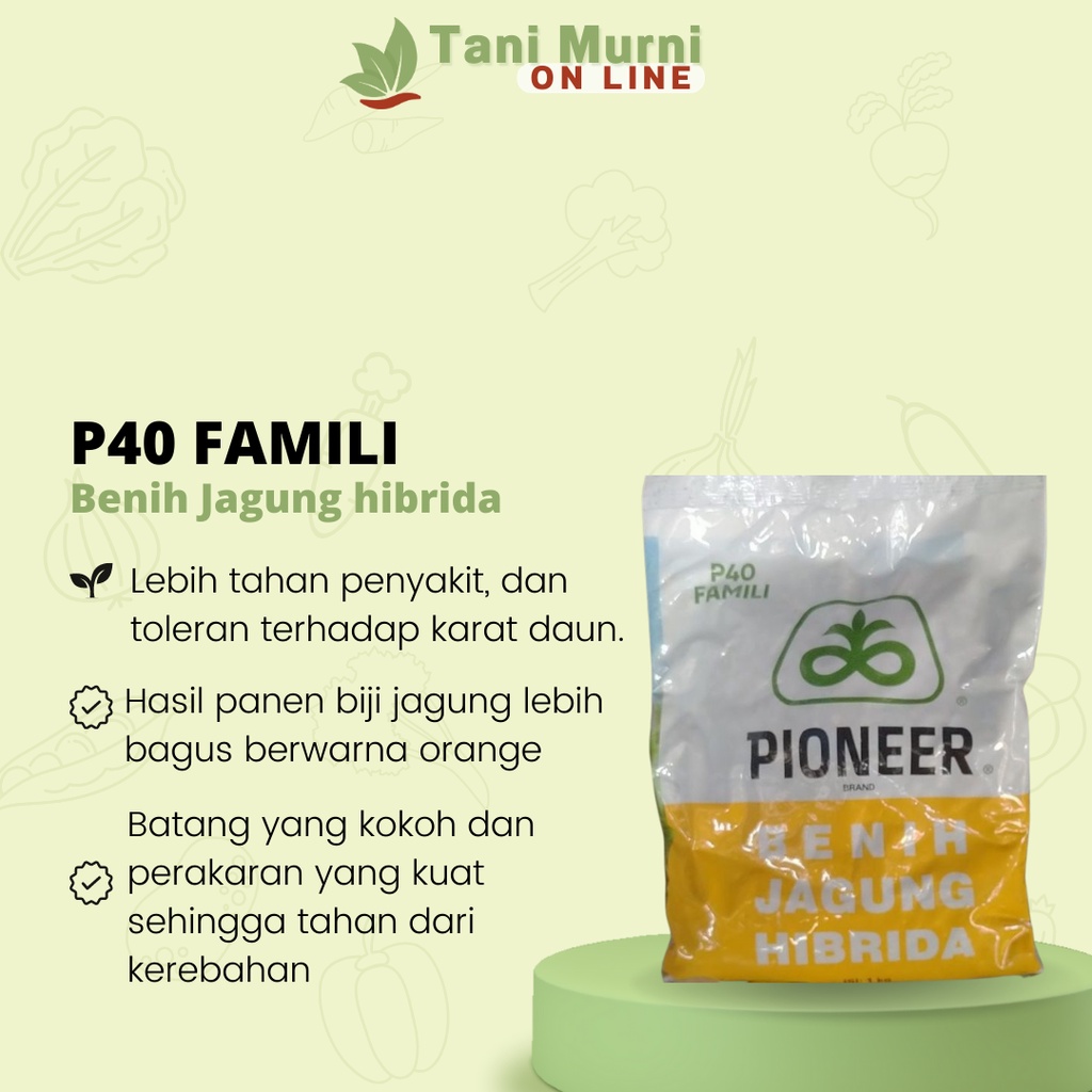 Benih Jagung Hibrida P40 Famili CORTEVA 1 Kg