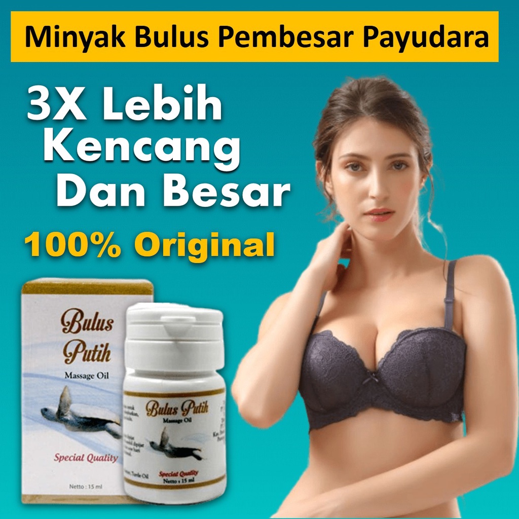 Obat Pembesar Payudara Ampuh Permanen Minyak Bulus Original Pengencang Payudara yg Kendur BPOM