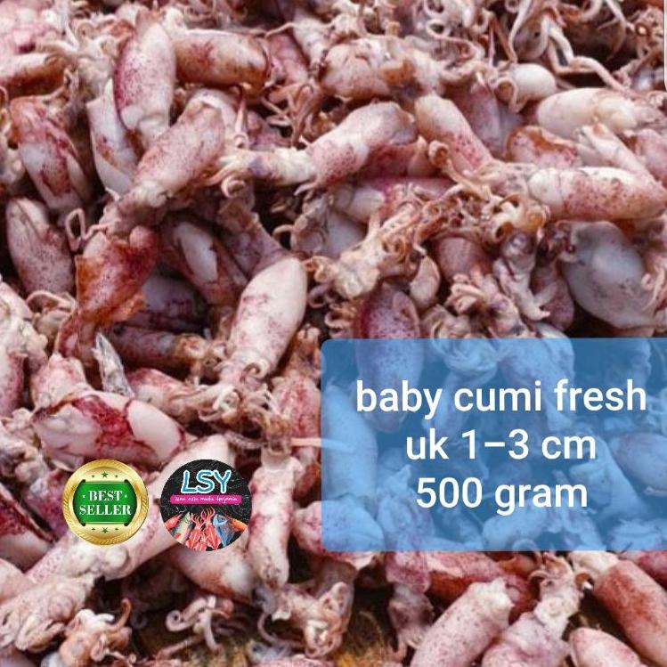 

Sale plus ikan asin baby cumi / cumi asin / cumi rebus 78 berat 500gram