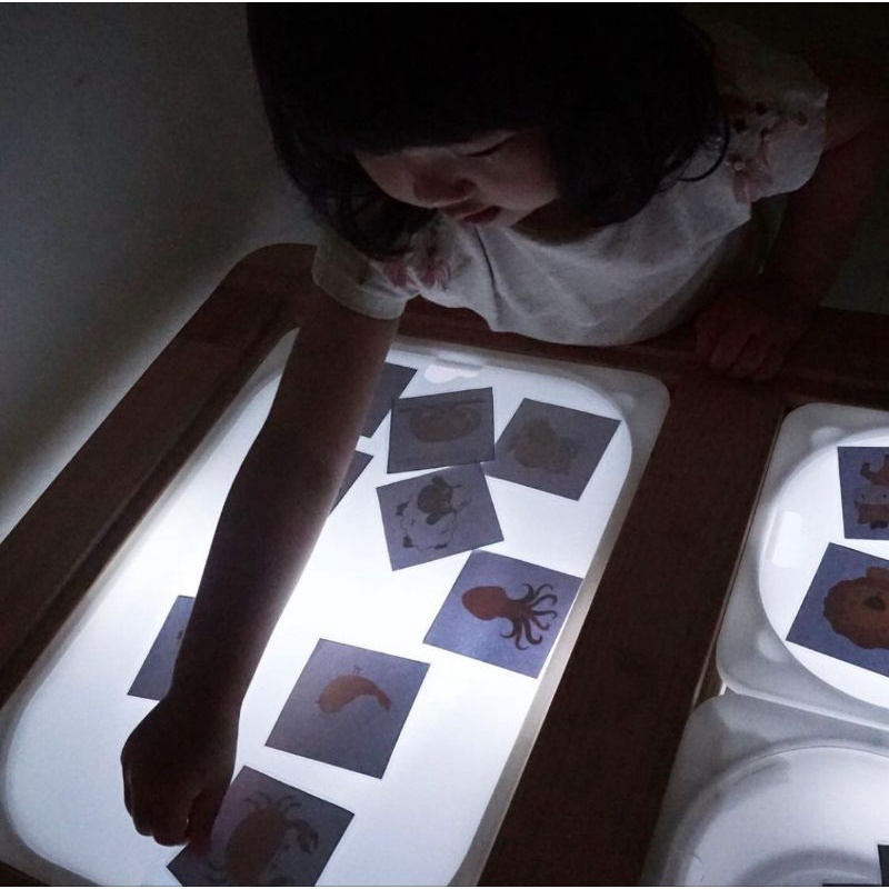 BOCHA's  Frosted Acrylic Board/Mainan Edukatif/Educative Toys/Papan Trofast/ Penutup Trofast/Akrilik