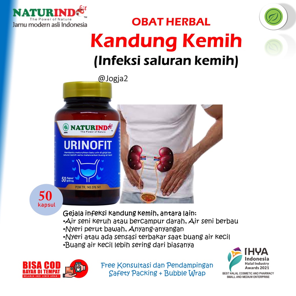 Obat Urinofit Herbal Kandung Kemih Kencing Infeksi Urinofit Naturindo