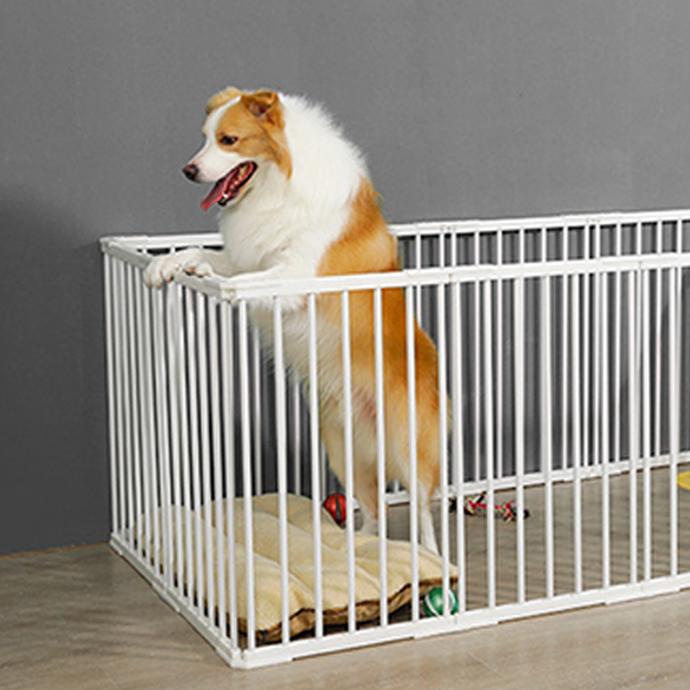 Pagar anjing dog fence pintu