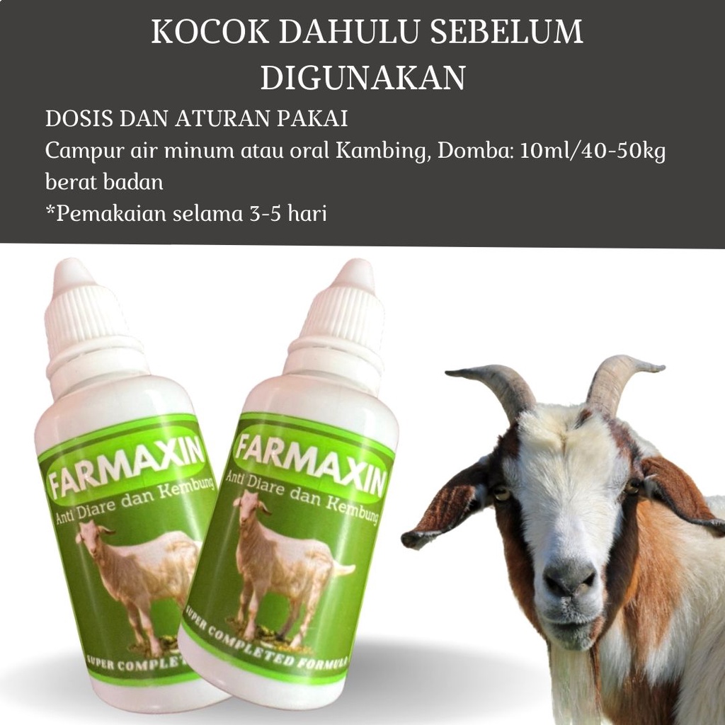 Obat Kembung Mencret Kambing Domba FEZONE