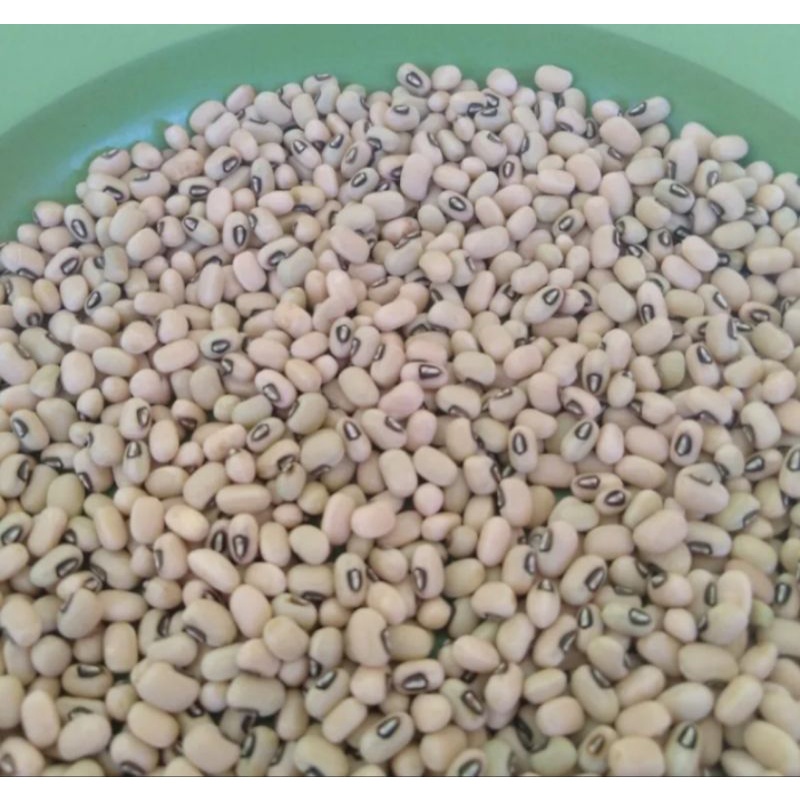 

KACANG BERAS / OTOK MADURA (KEMASAN 500 GR)