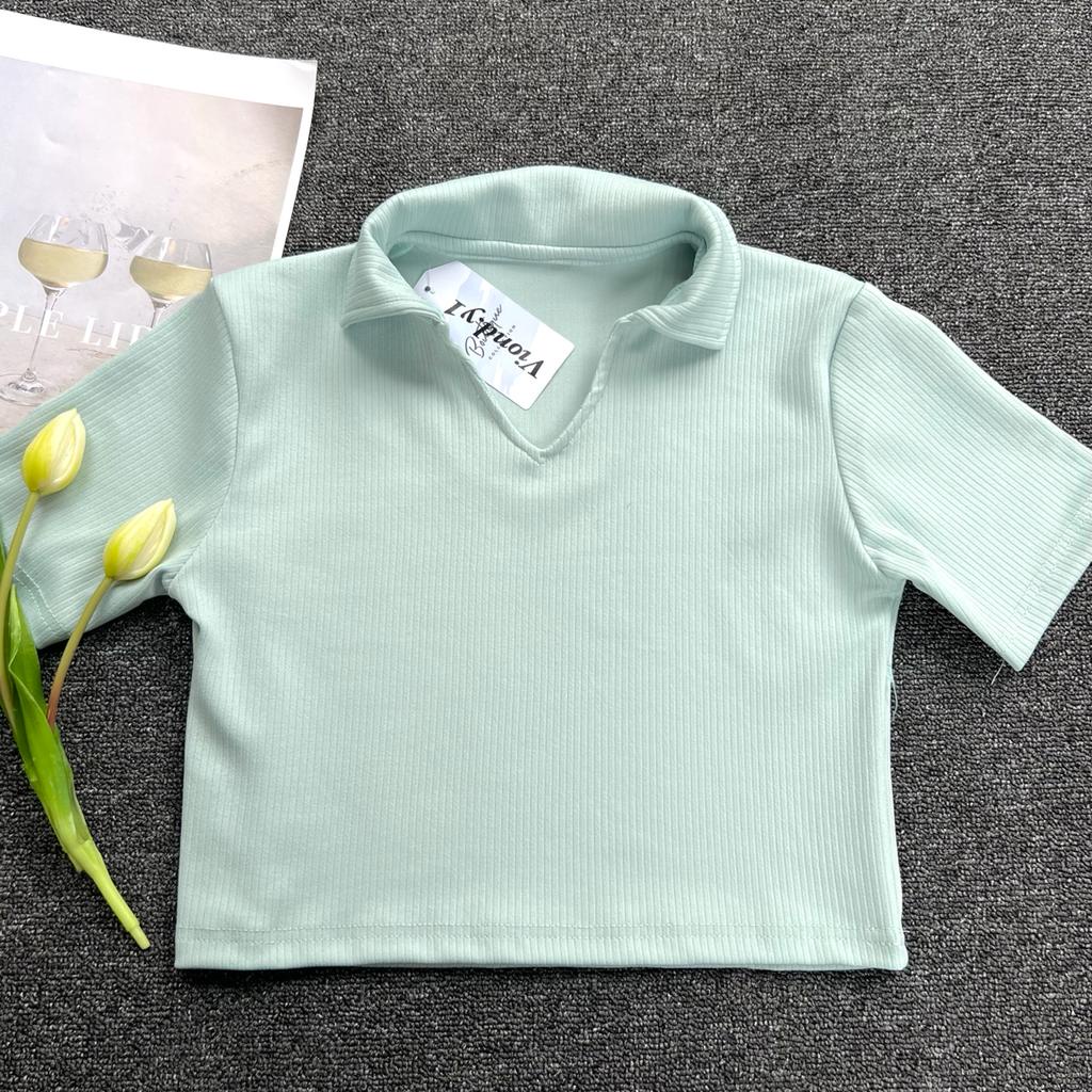 Tshirt Wanita Crop Top Strech / Kaos Cewek Polos Polo / ATasan Baju Knit Kerah V Korea Lengan Pendek E33