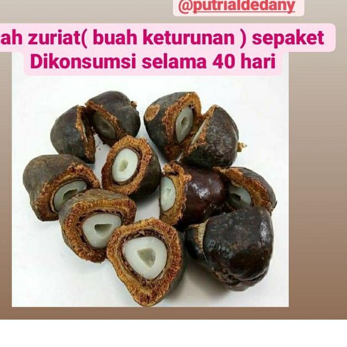 

☟ ZURIAT BELAH SEPAKET ( 40 HARI KONSUMSI ) Zuriat Belah praktis tinggal rebus , LANGSUNG DARI BUAHNYA / ZURIAT ORIGINAL /ZURIAT ORGANIC ➺