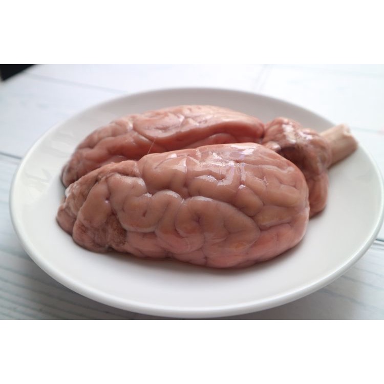 Otak Sapi Segar Utuh