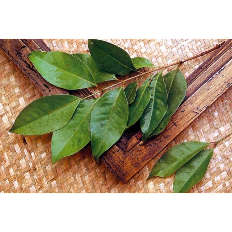 

Bubuk Daun Salam Murni kemasan 500 gram/Tepung Daun Salam Murni kemasan 500 gram/Daun Salam Murni Bubuk